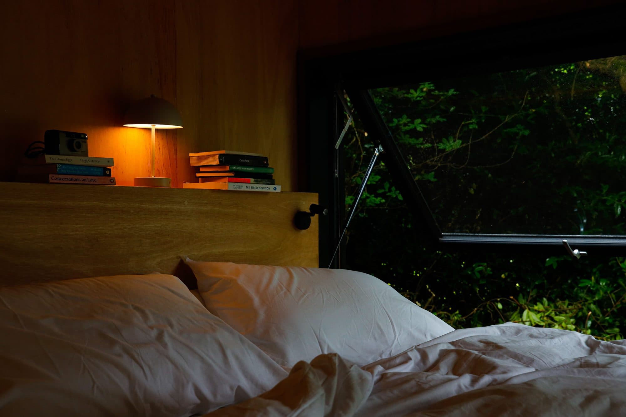 Pillows and a reading lamp on the shelf above the bed, with books and the window beyond.