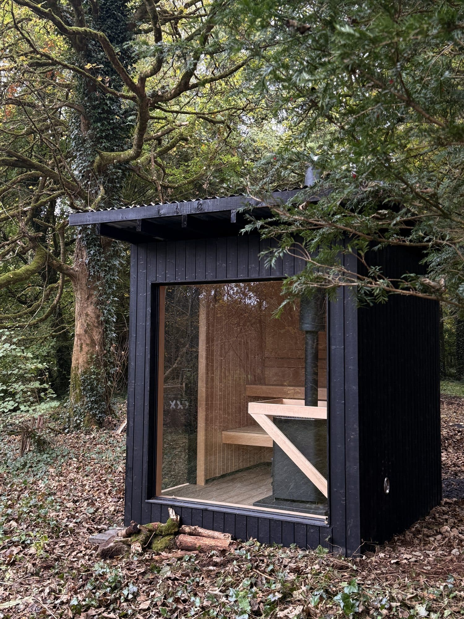 The Samsú forest sauna, a small black timber cabin with a glass front, under old trees.