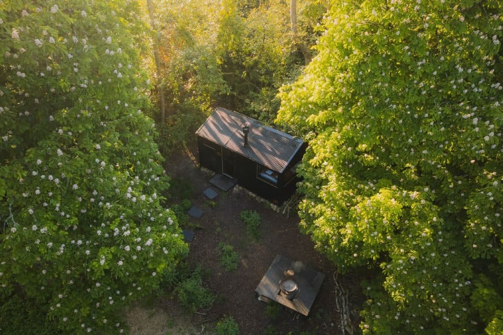 Saoirse seen from above, a small dark cabin in a clearing surrounded by summer woodland.
